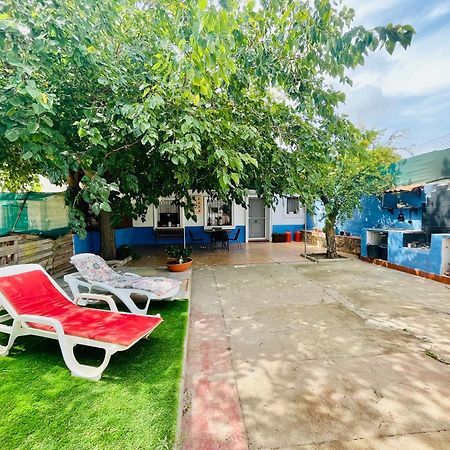 Estudio Adosado Acogedor Con Jardin, Barbacoa Y Parking Privado Alicante Exterior foto