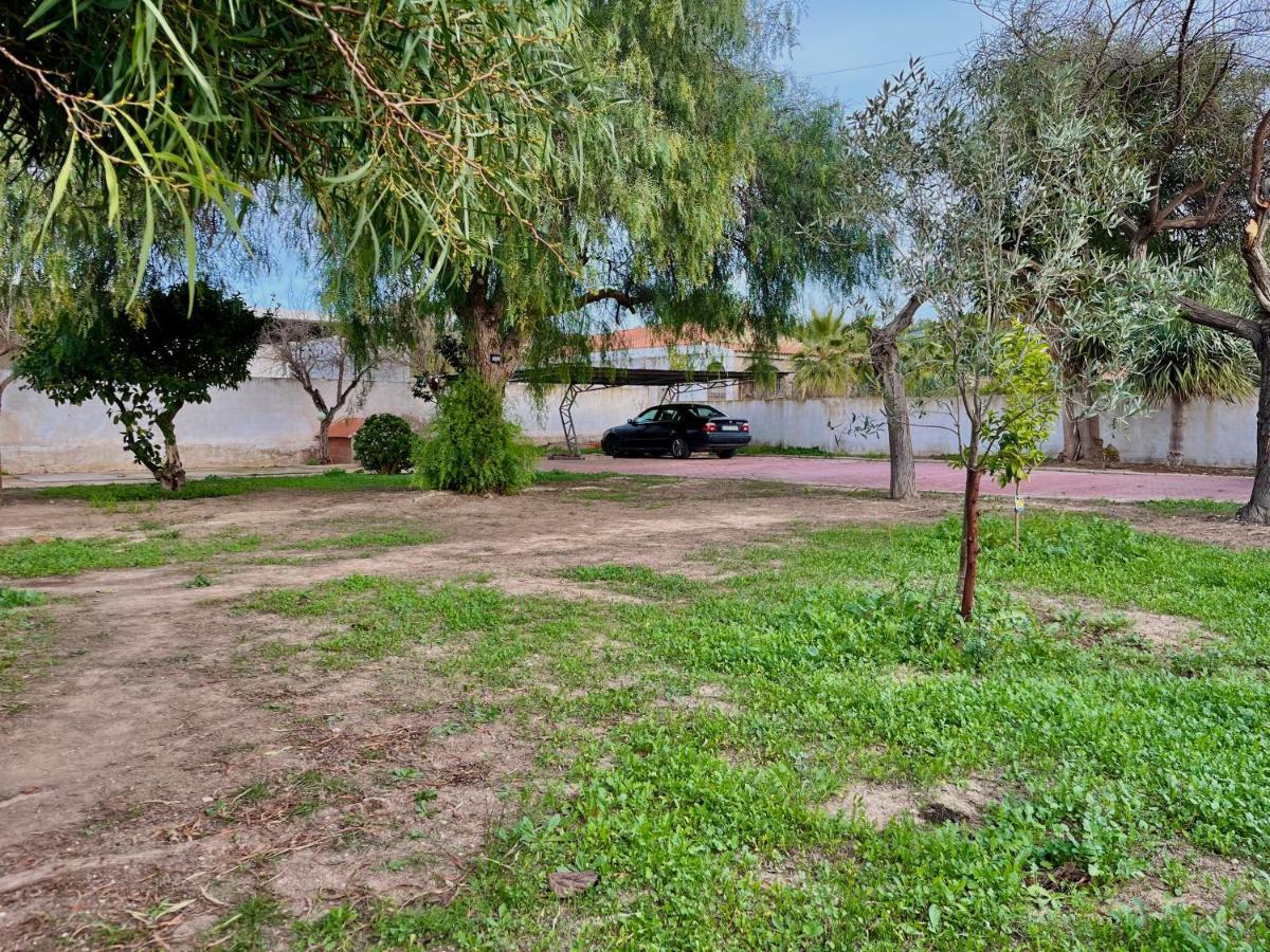 Estudio Adosado Acogedor Con Jardin, Barbacoa Y Parking Privado Alicante Exterior foto